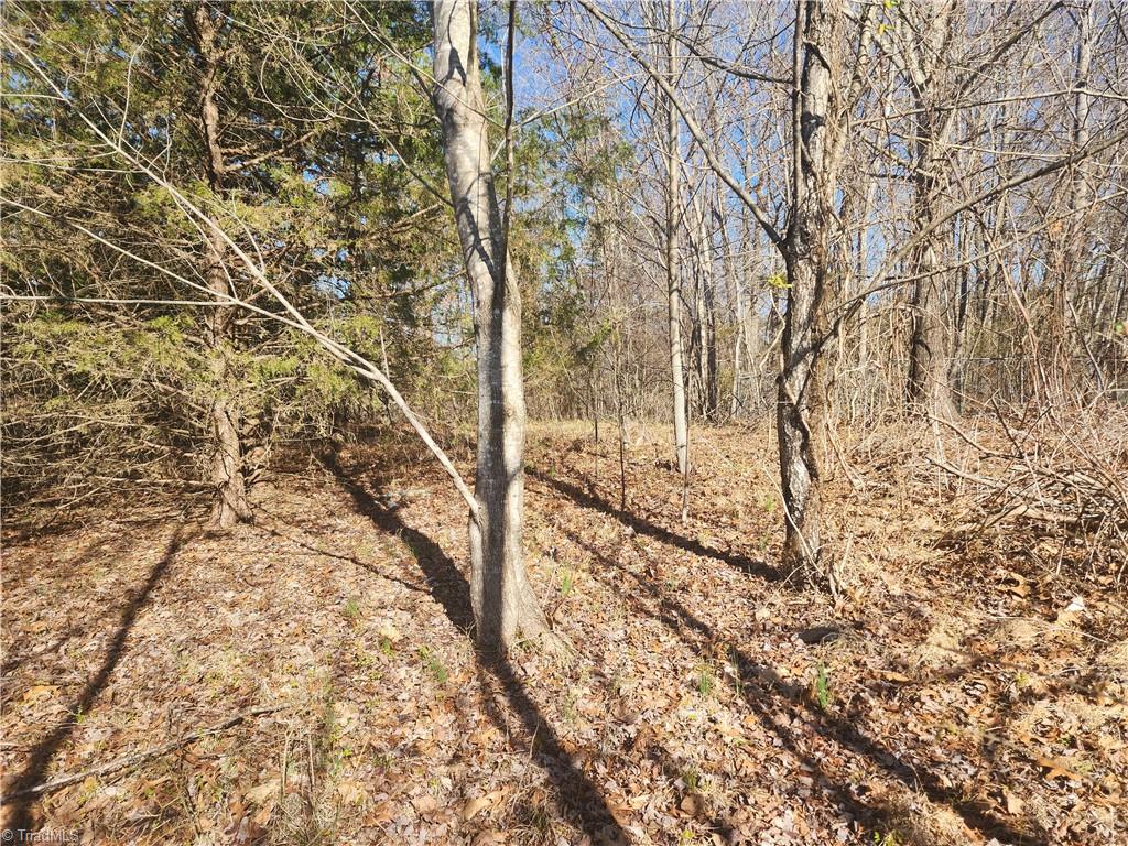 0 Golf Course Road Pilot Mountain, NC 27041 - Photo 13 of 18 Pretty level areas on the 2.7 acres side.