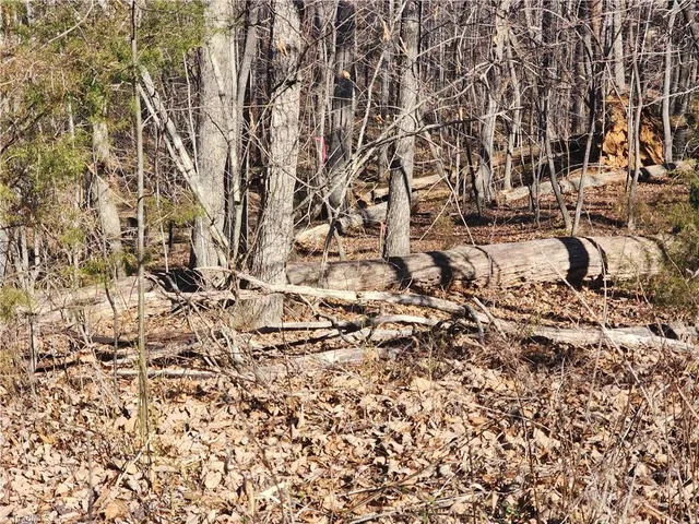 $95,000 | 0 Golf Course Road, Pilot Mountain, NC 27041