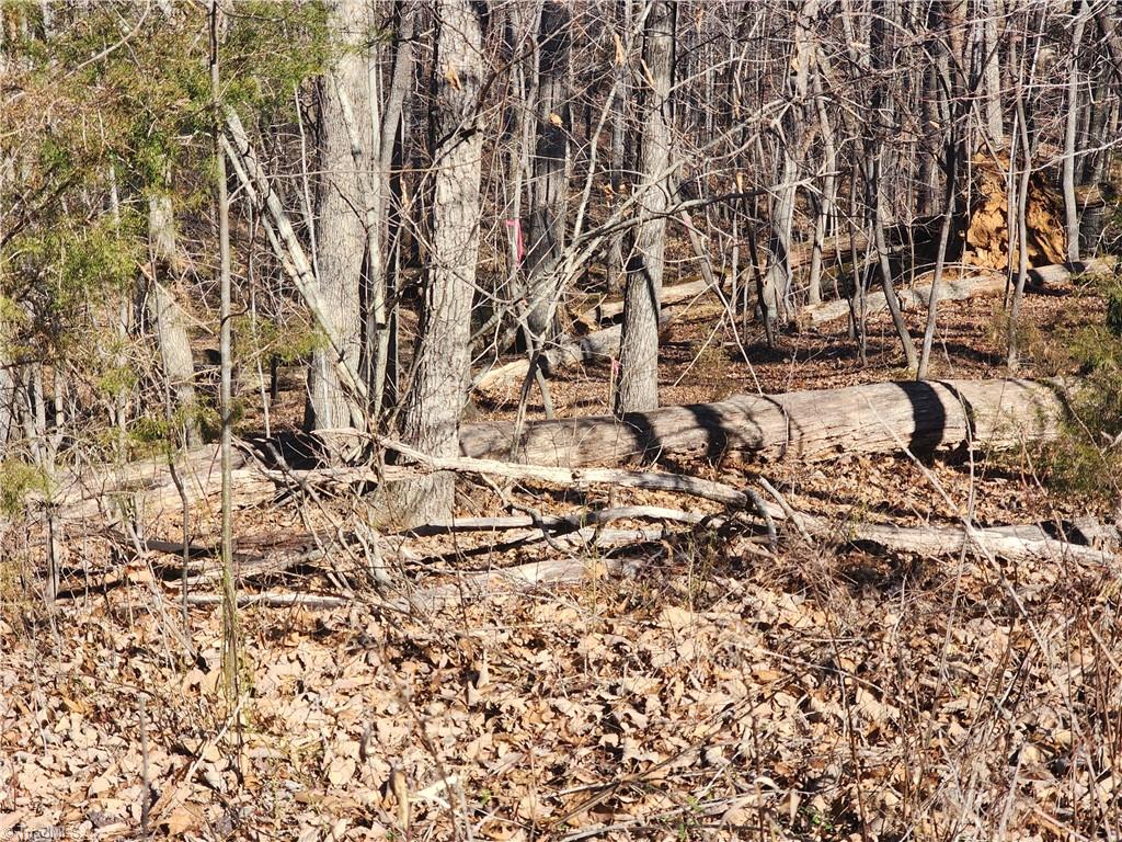0 Golf Course Road Pilot Mountain, NC 27041 - Photo 15 of 18 Back of 2.7 acres side down the gravel road