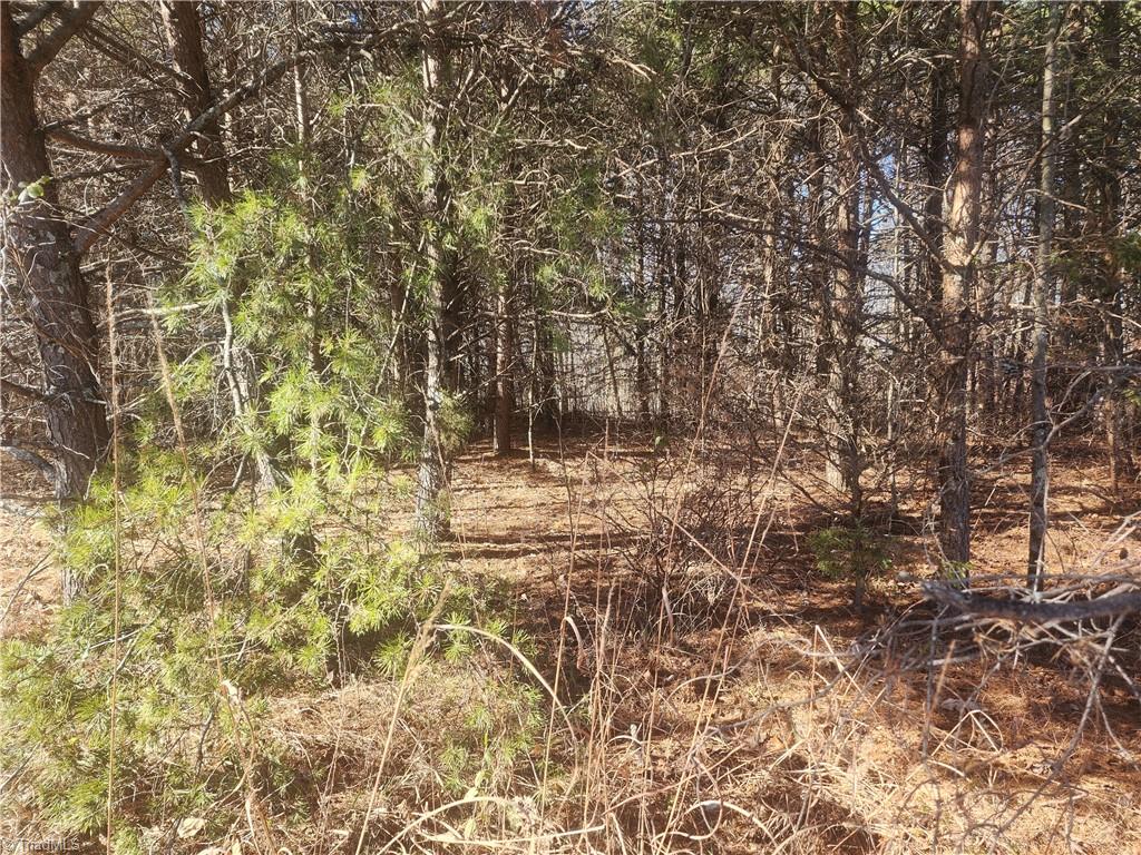 0 Golf Course Road Pilot Mountain, NC 27041 - Photo 16 of 18 Another possible build site