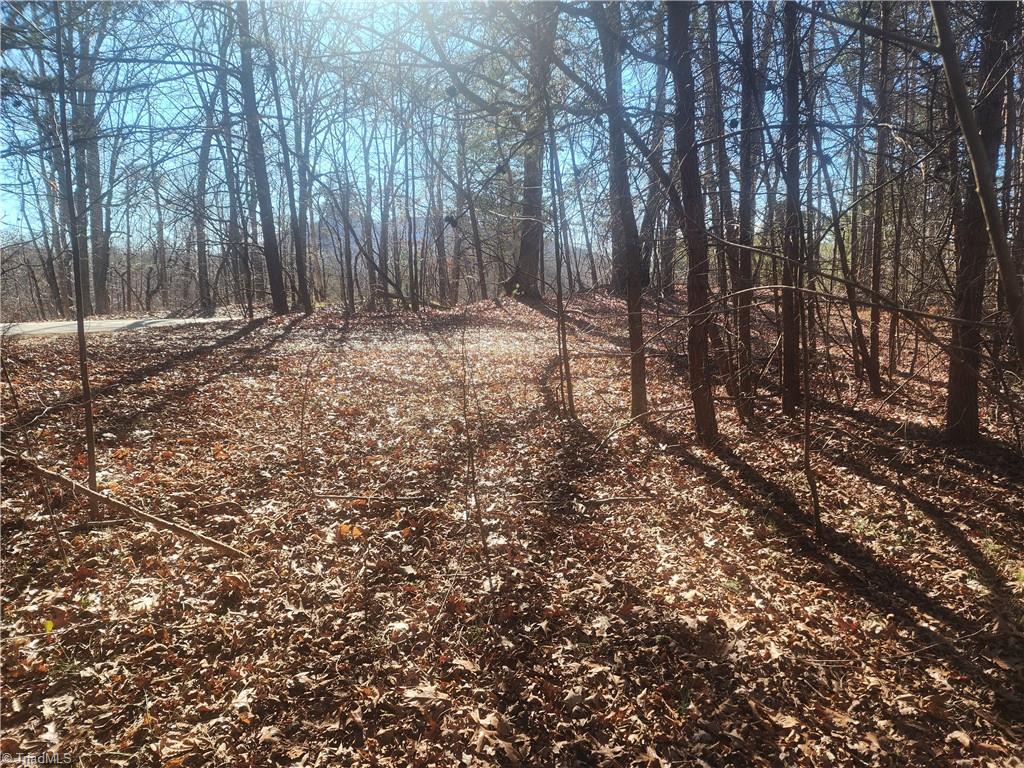 0 Golf Course Road Pilot Mountain, NC 27041 - Photo 17 of 18 Road frontage