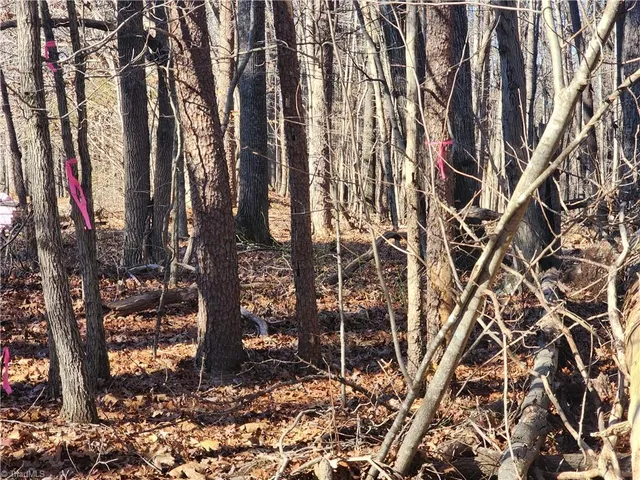 $95,000 | 0 Golf Course Road, Pilot Mountain, NC 27041