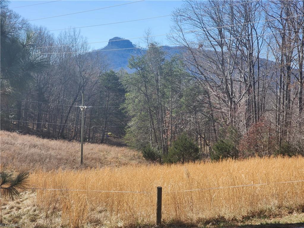 0 Golf Course Road Pilot Mountain, NC 27041 - Photo 2 of 18 Beautiful Pilot Mountain, Pasture side.