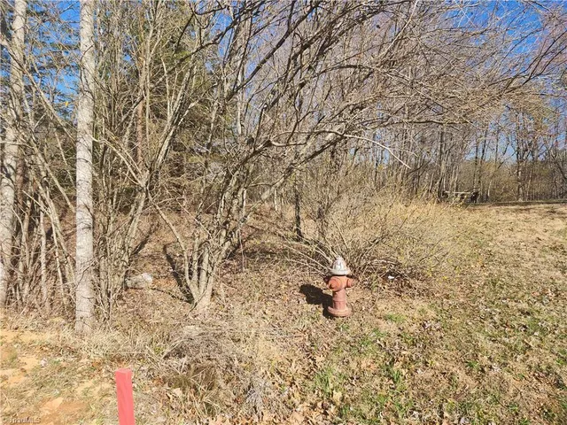 $95,000 | 0 Golf Course Road, Pilot Mountain, NC 27041