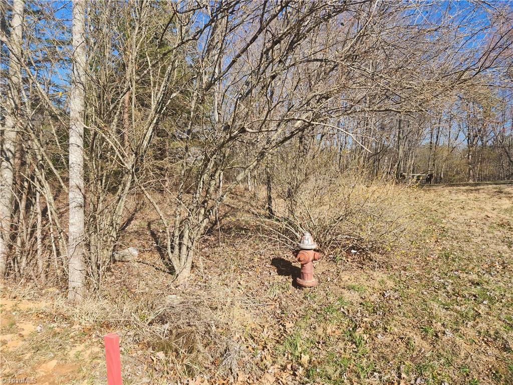 0 Golf Course Road Pilot Mountain, NC 27041 - Photo 6 of 18 City water