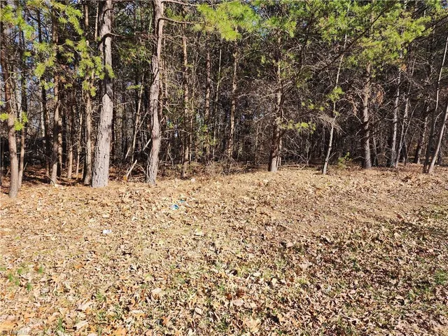 $95,000 | 0 Golf Course Road, Pilot Mountain, NC 27041