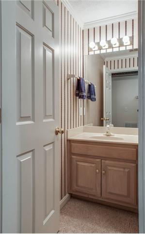 107 Spring View Place Cottontown, TN 37048 - Photo 14 of 20 Conveniently located on the basement level between the Rec Room and Office, Bath #3 has a vanity and large shower.