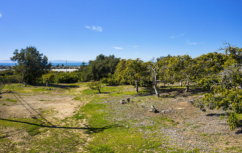 2 Monte Alegre Road Carpinteria, CA 93013 - Photo 6 of 18 06-RMA-Santa Monica Rd_0010-Lot 2