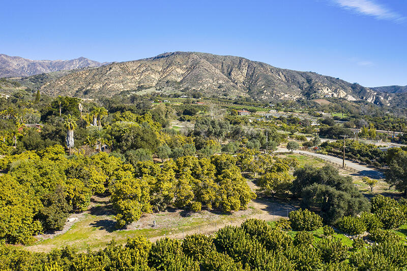 2 Monte Alegre Road Carpinteria, CA 93013 - Photo 7 of 18 07-RMA-Santa Monica Rd_0009-Lot 2