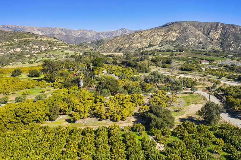 2 Monte Alegre Road Carpinteria, CA 93013 - Photo 8 of 18 08-RMA-Santa Monica Rd_0008-Lot 2