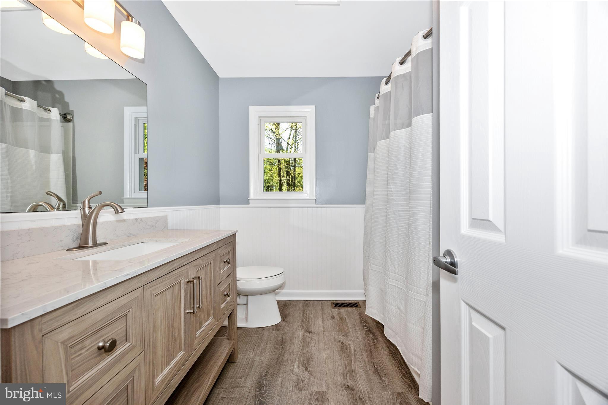 6518 Woodville Road Mount Airy, MD 21771 - Photo 20 of 53 a bathroom with a sink a toilet and a mirror