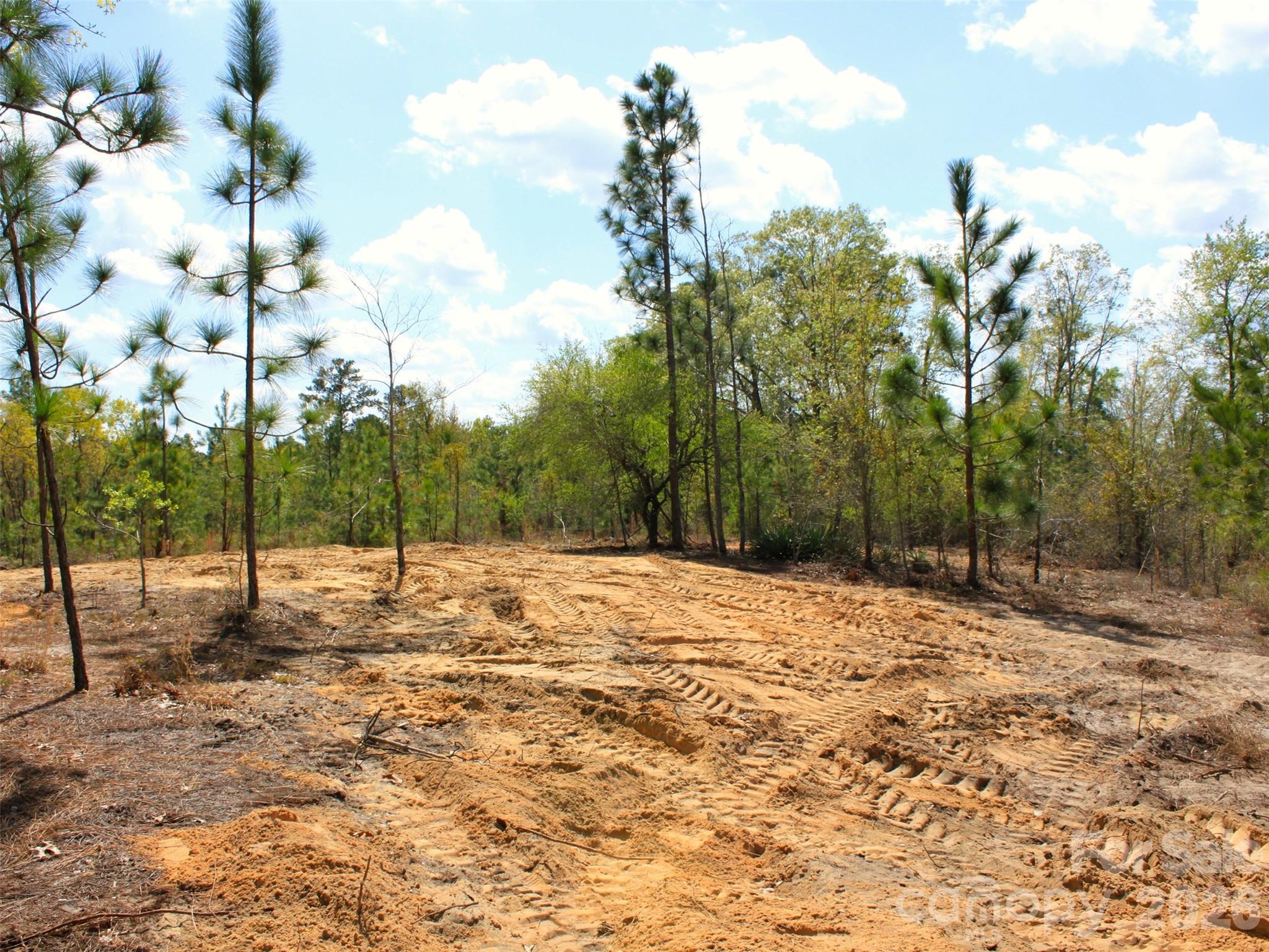 0 McQueen Road Patrick, SC 29584 - Photo 22 of 25