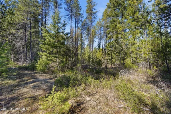$139,900 | 109 Jefferson Street, Spirit Lake, ID 83869