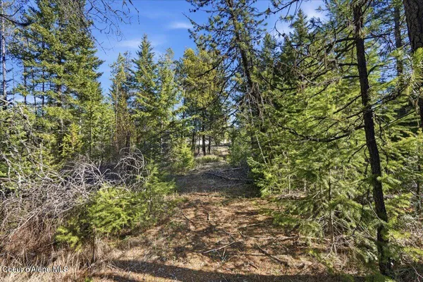 $139,900 | 109 Jefferson Street, Spirit Lake, ID 83869