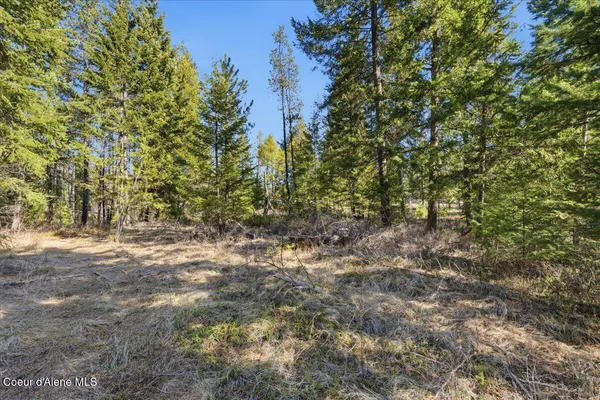 $139,900 | 109 Jefferson Street, Spirit Lake, ID 83869