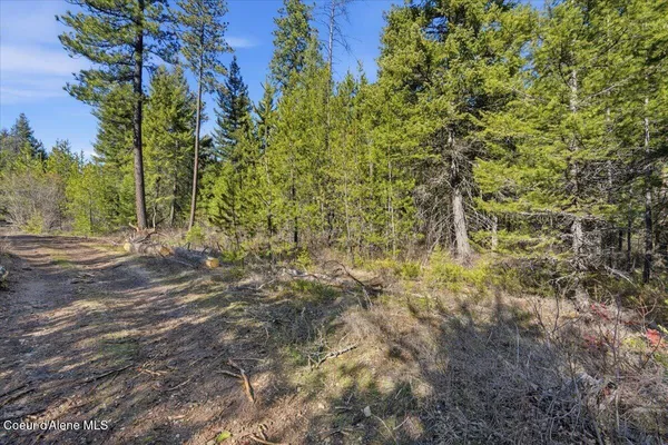 $139,900 | 109 Jefferson Street, Spirit Lake, ID 83869