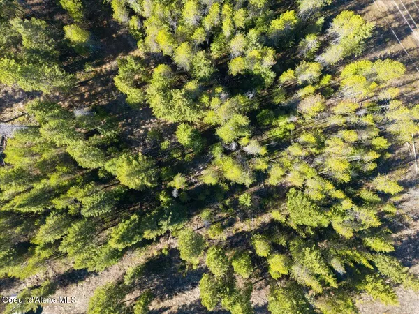 $139,900 | 109 Jefferson Street, Spirit Lake, ID 83869