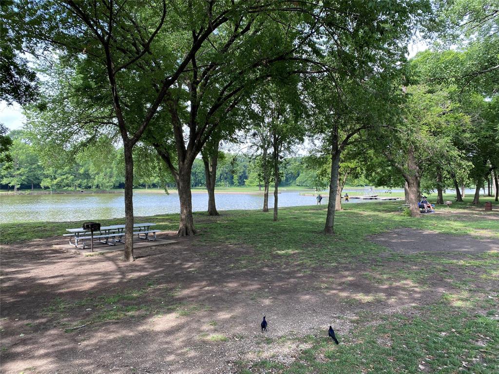 1100 Baker Street McKinney, TX 75069 - Photo 15 of 18 a view of park with green space and trees