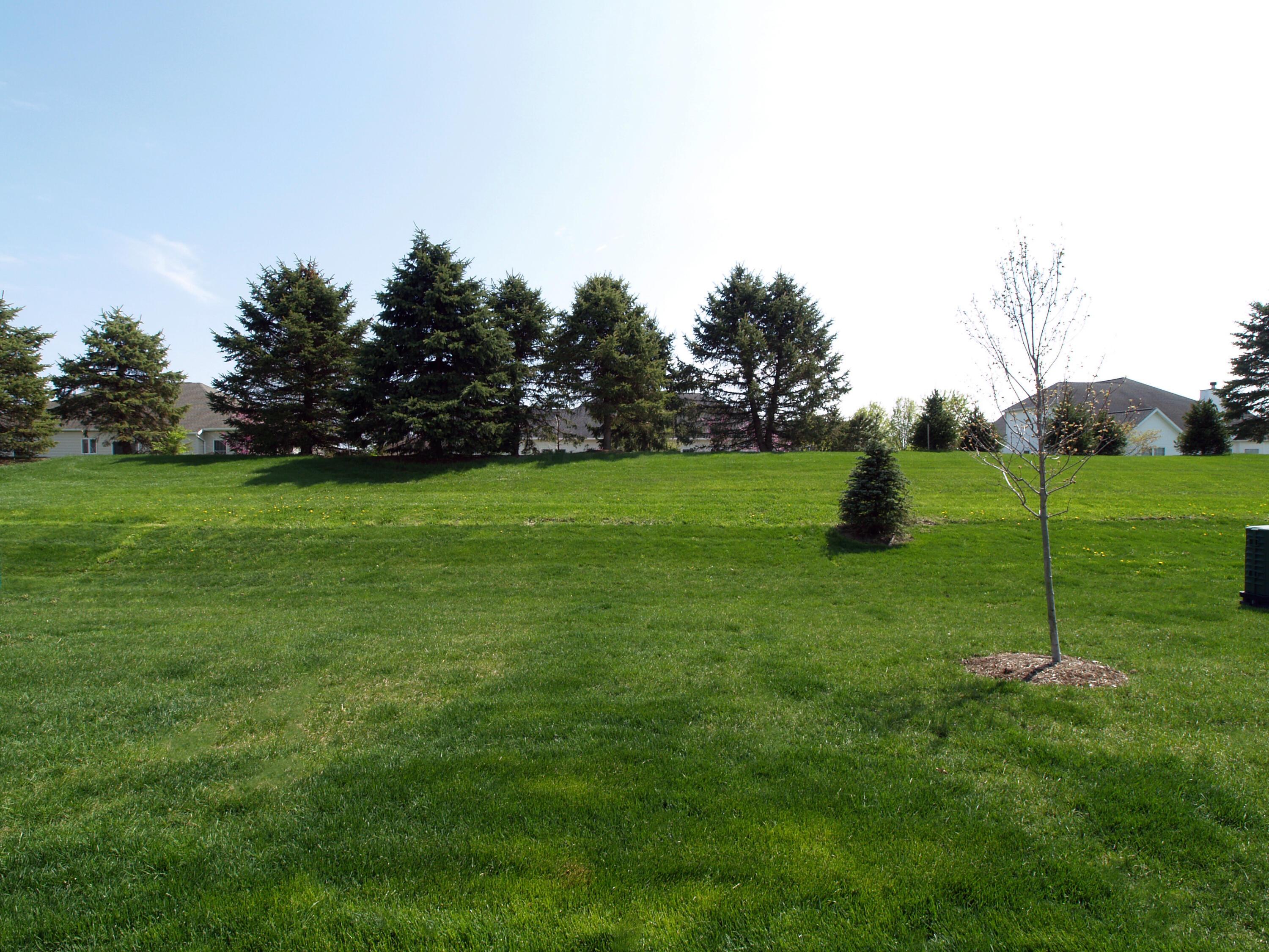 315 Blue Ridge Ostrander, OH 43061 - Photo 41 of 47 Backyard