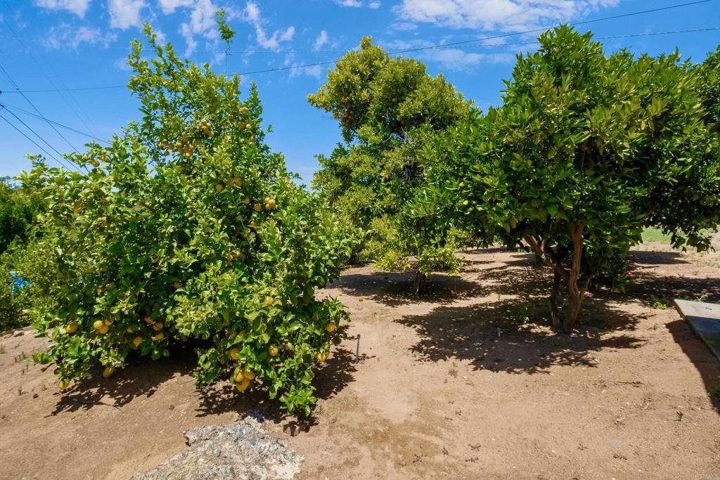1216 Via Ramon Escondido, CA 92029 - Photo 32 of 37