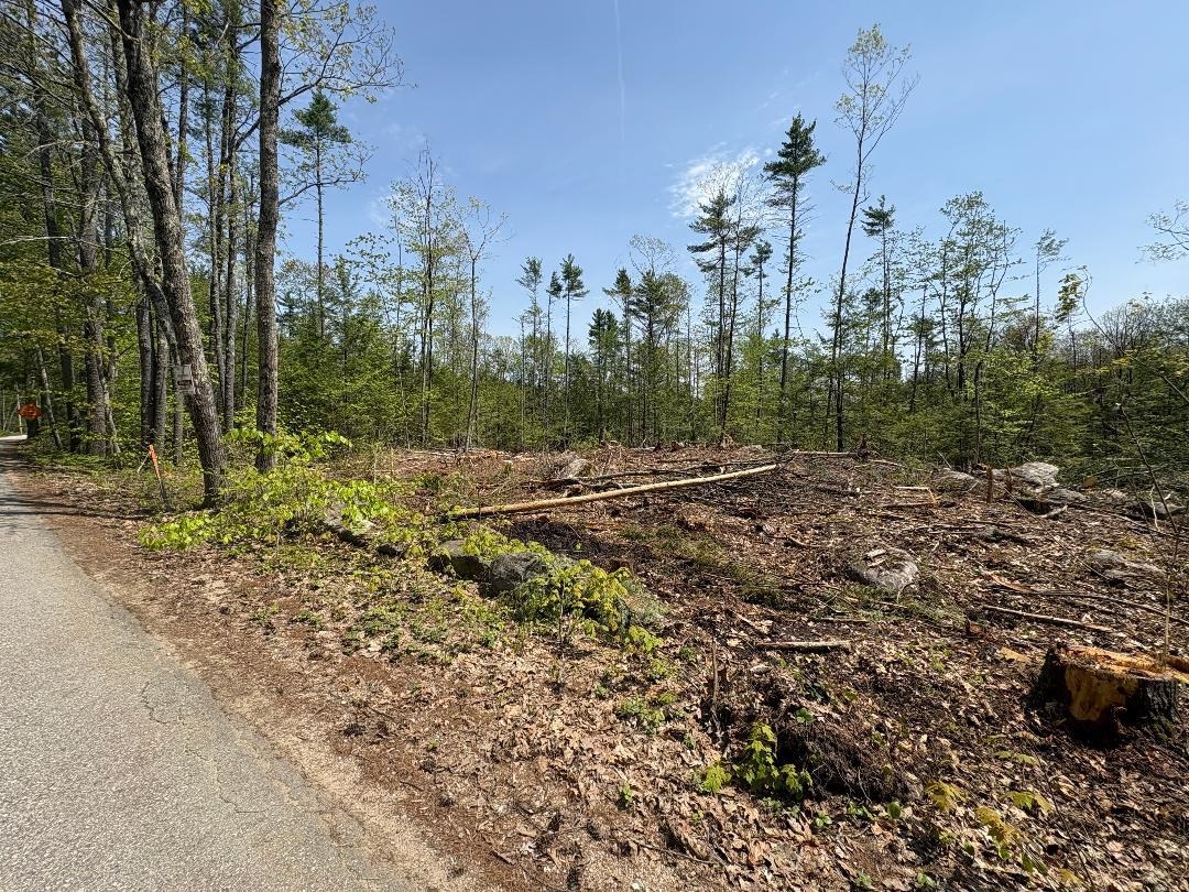 B-19-4 Wilton Road Mason, NH 03048 - Photo 2 of 10