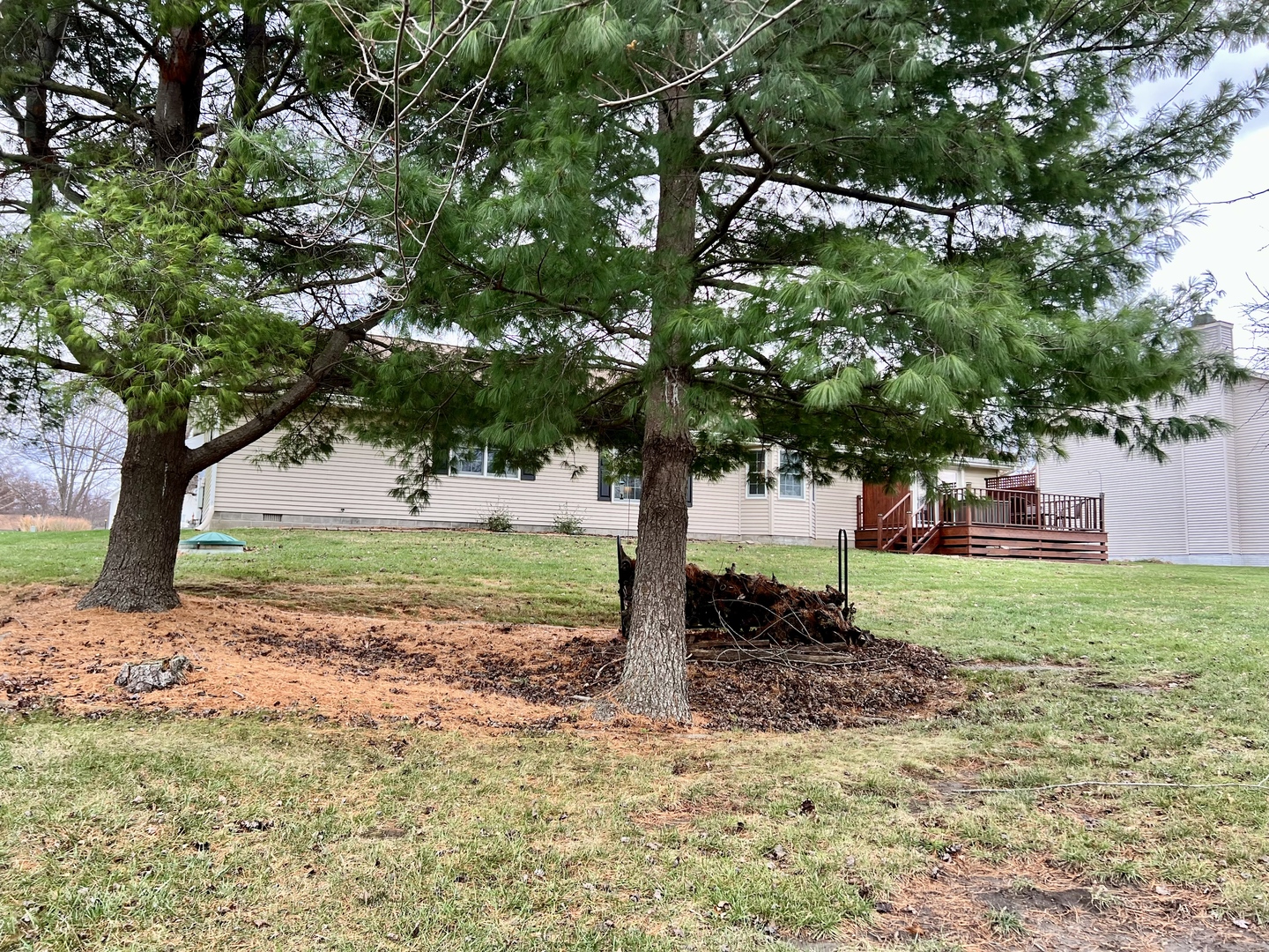 47 Springchester Mattoon, IL 61938 - Photo 44 of 44