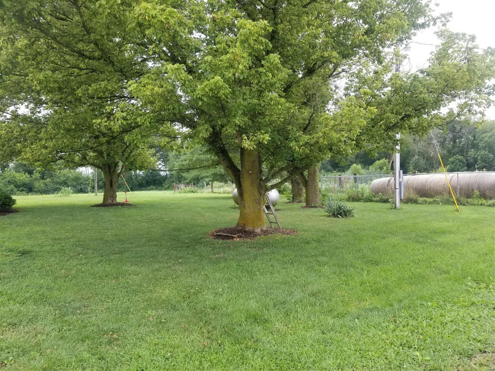 16315 Sweetgum Road Centralia, IL 62801 - Photo 17 of 18 Gallery Image 17