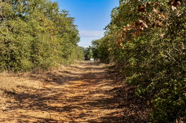 a view of a yard with a tree