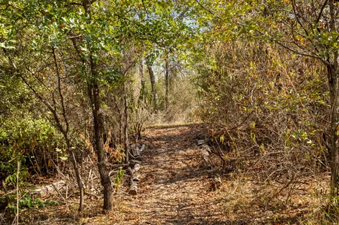 a view of a yard with a tree