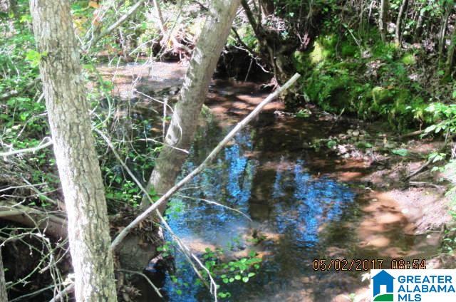 82-acres Creed Road, Unit 82 ACRES Lineville, AL 36266 - Photo 5 of 20