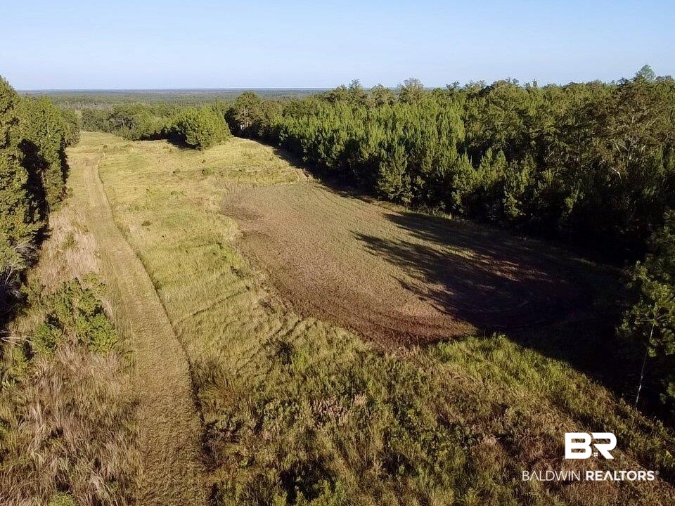 0 Howell Drive Mount Vernon, AL 36560 - Photo 6 of 50
