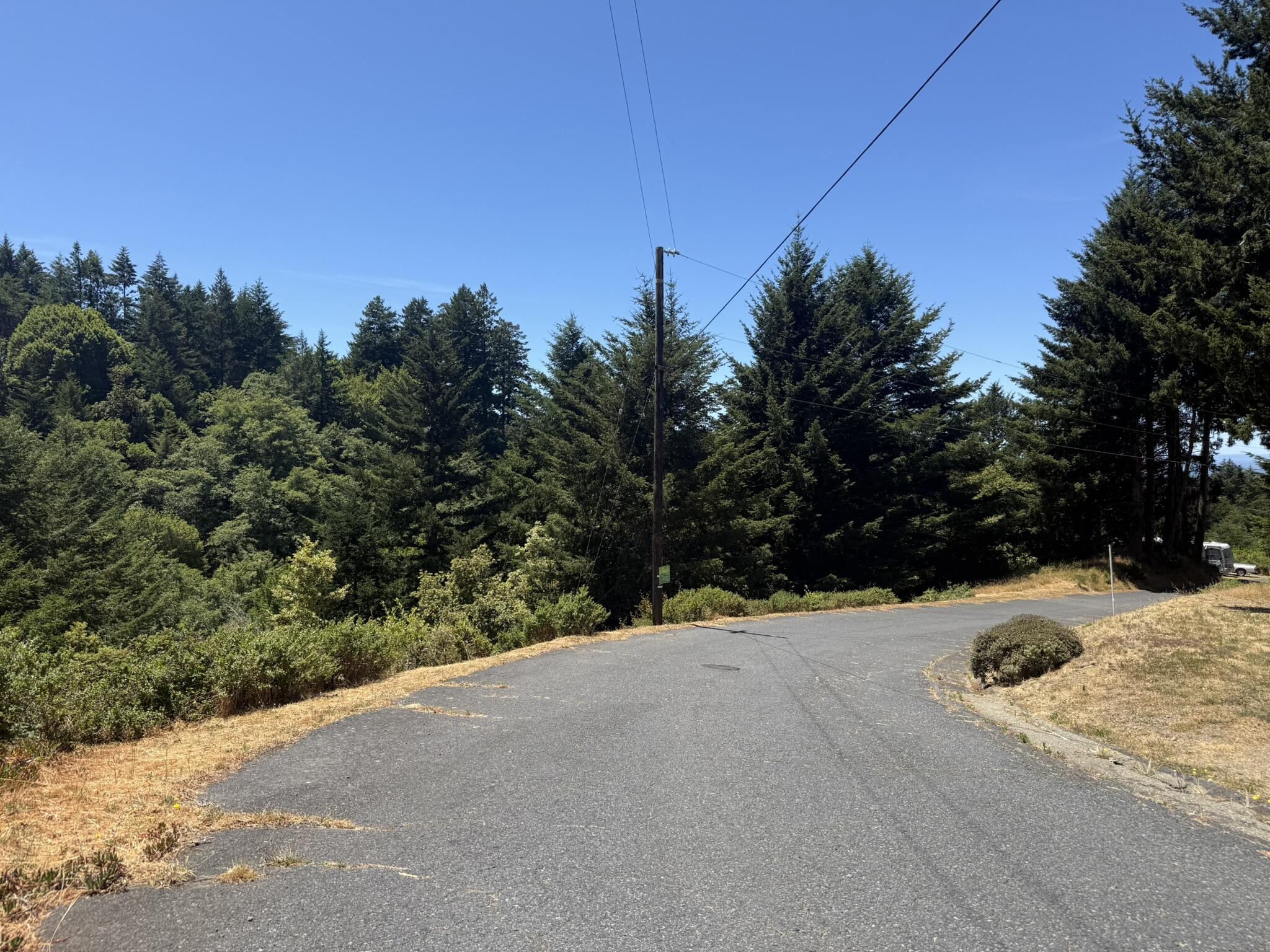60 Spring Road Shelter Cove, CA 95589 - Photo 2 of 8 IMG_2366