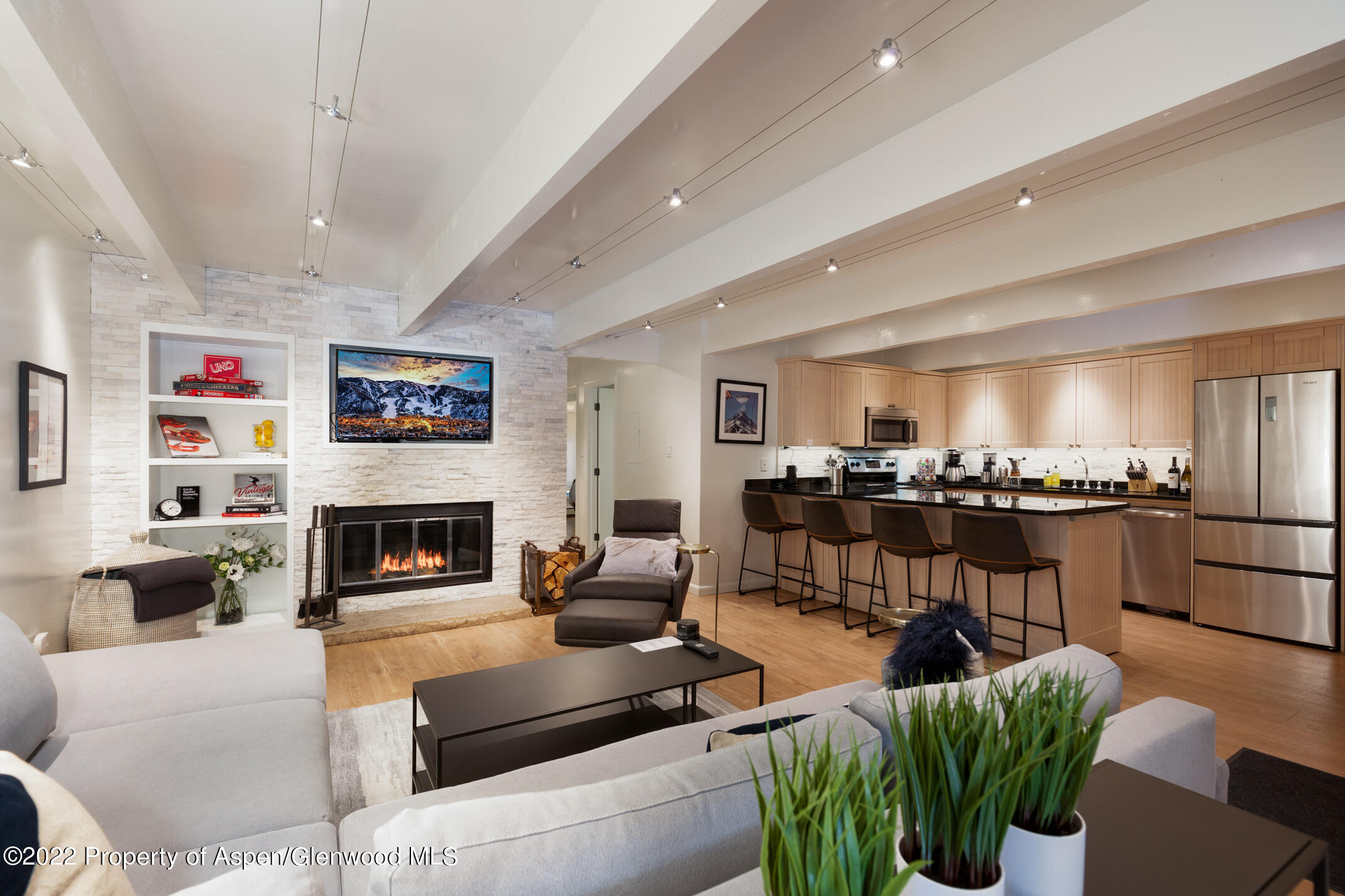 731 East Durant Avenue, Unit 6 Aspen, CO 81611 - Photo 5 of 14 a living room with furniture and a fireplace