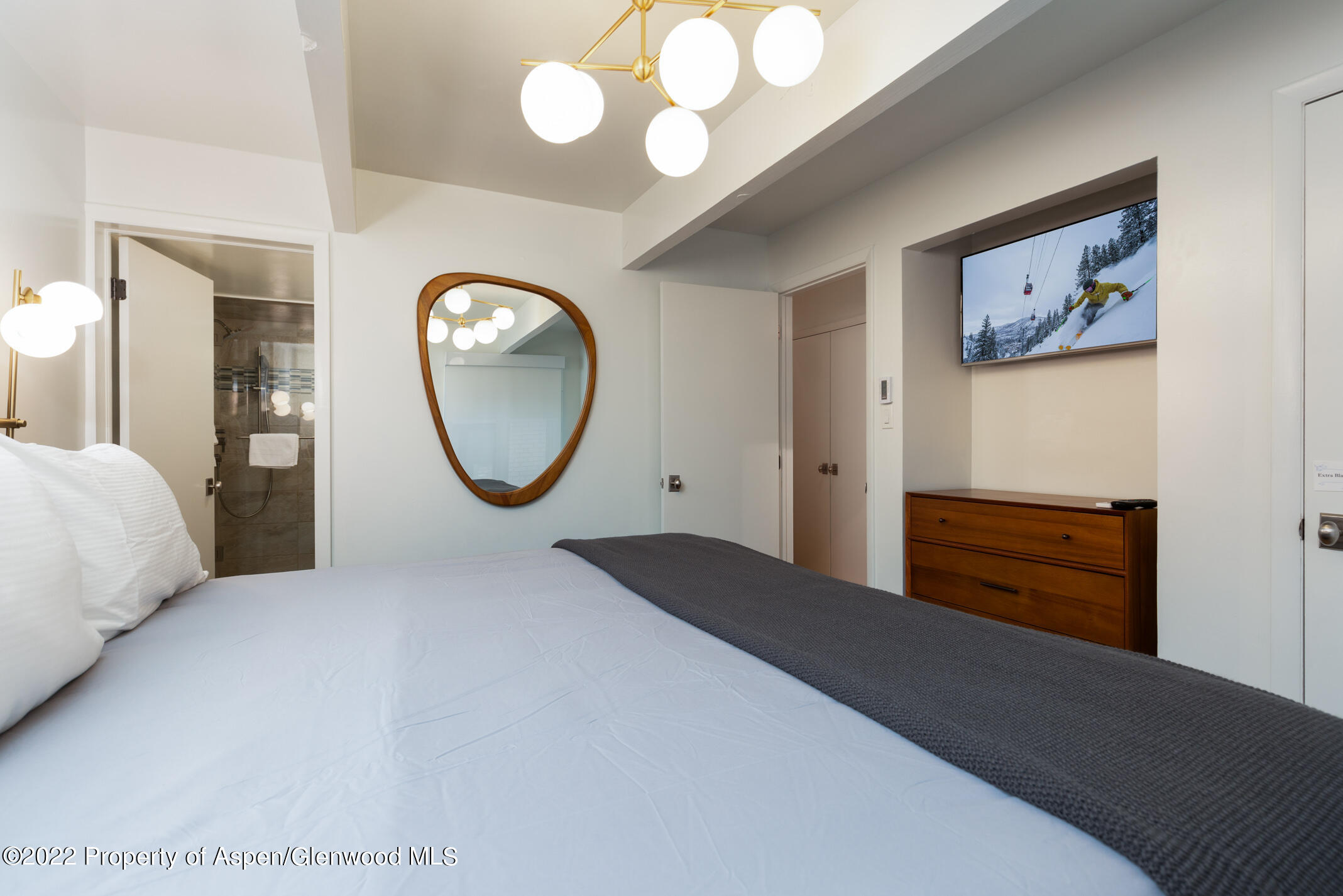 731 East Durant Avenue, Unit 6 Aspen, CO 81611 - Photo 7 of 14 a bedroom with a bed and a mirror