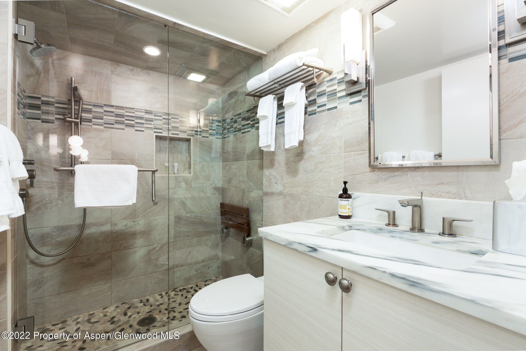 731 East Durant Avenue, Unit 6 Aspen, CO 81611 - Photo 8 of 14 a bathroom with a sink toilet and shower