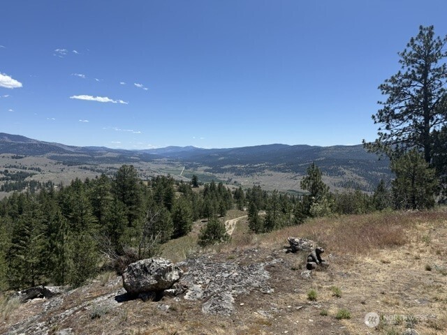132 West Cayuse Mountain Road Tonasket, WA 98855 - Photo 26 of 29