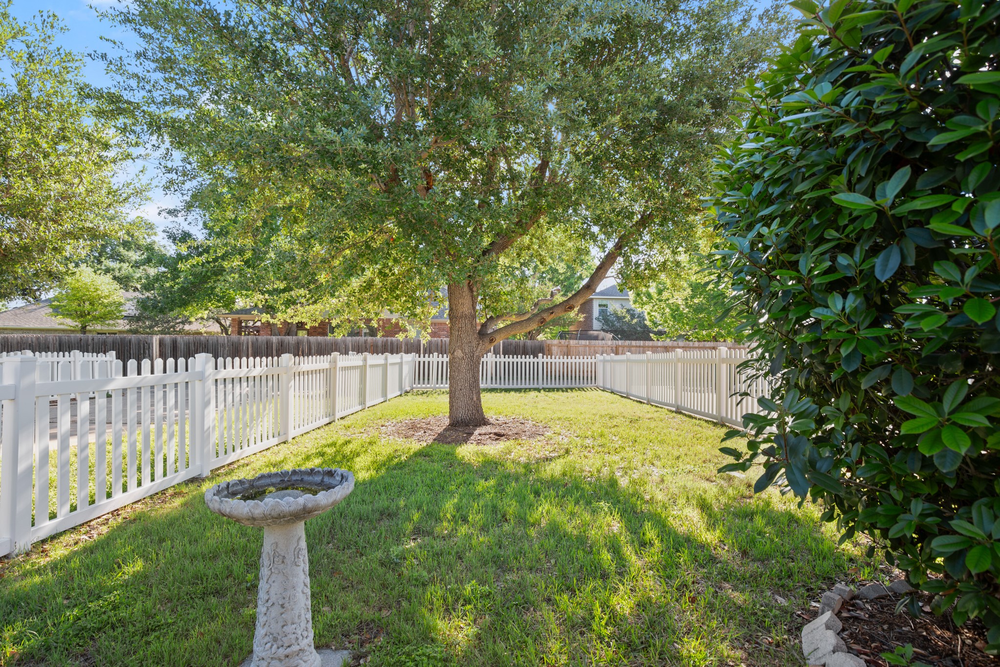 204 Crockett Road Cedar Park, TX 78613 - Photo 27 of 37 Backyard