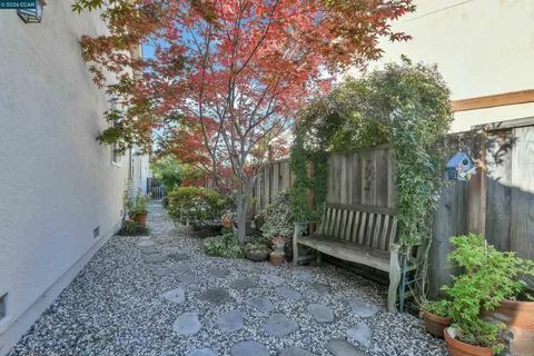 a view of a yard with a tree