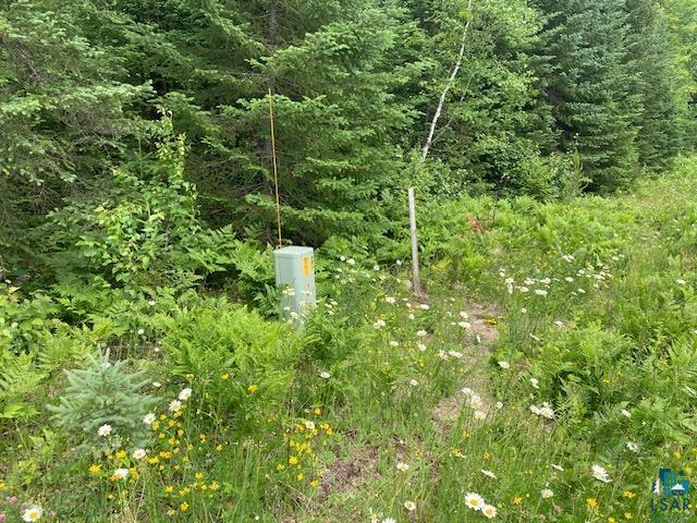 11919 Luna Lake Road Side Lake, MN 55781 - Photo 22 of 23