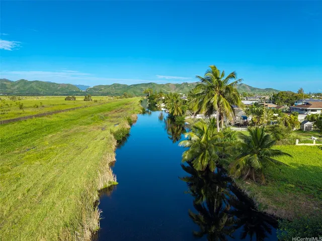 a view of a yard with a house in the background