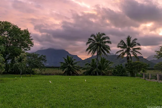 a close up of a palm plant