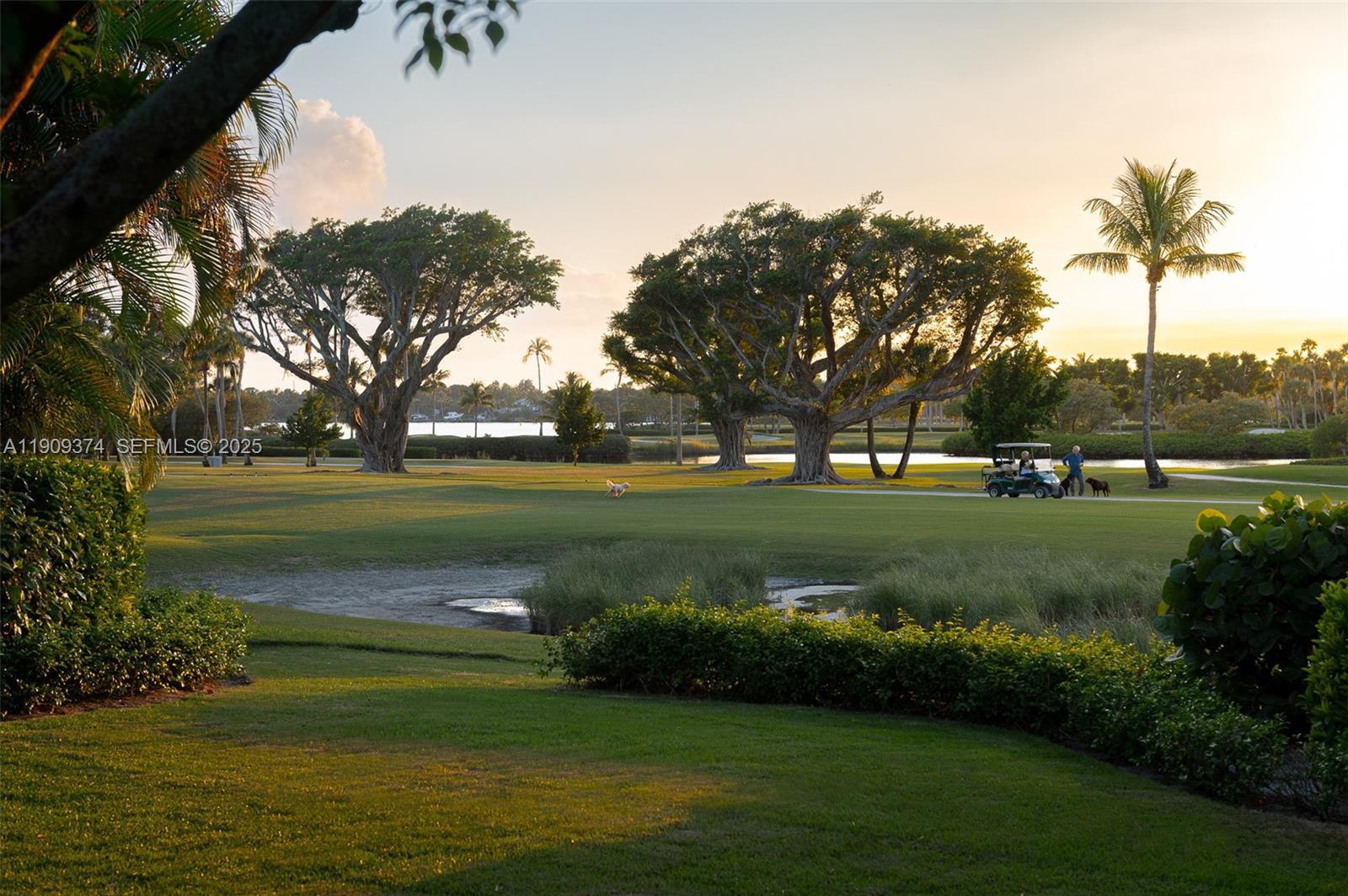 18 Gomez Road Jupiter Island, FL 33455 - Photo 3 of 34 a view of building with garden and trees