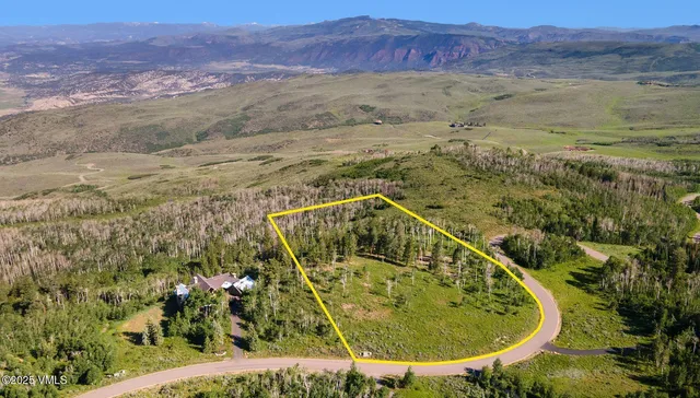 a close up of a plant