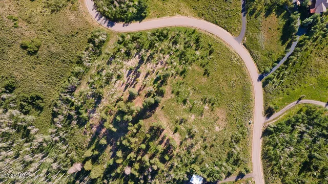 a view of a city with lush green forest