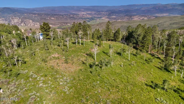 a view of a grassy area with an trees