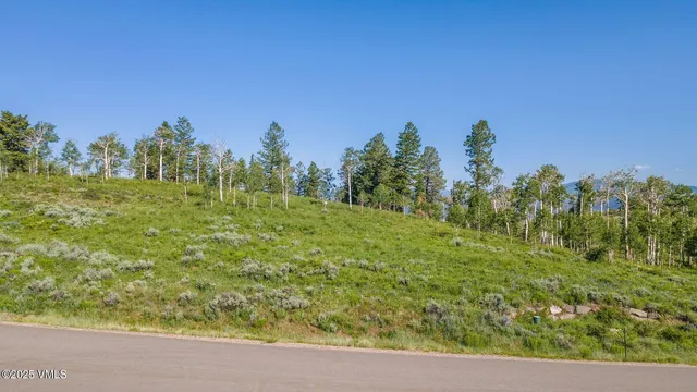 a view of a yard with a trees