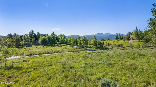 a backyard of a house with trees in the background