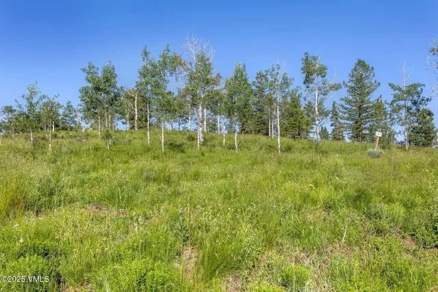 a view of a big yard