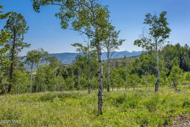 $995,000 | 713 Webb Peak, Edwards, CO 81632