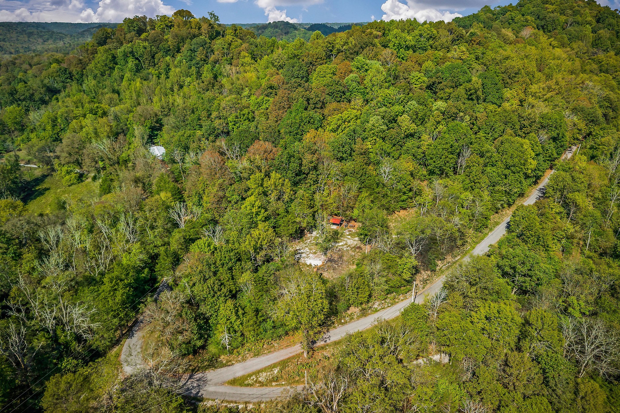 43 Moss Bend Road Lancaster, TN 38569 - Photo 19 of 75 a view of a big yard with plants and large trees